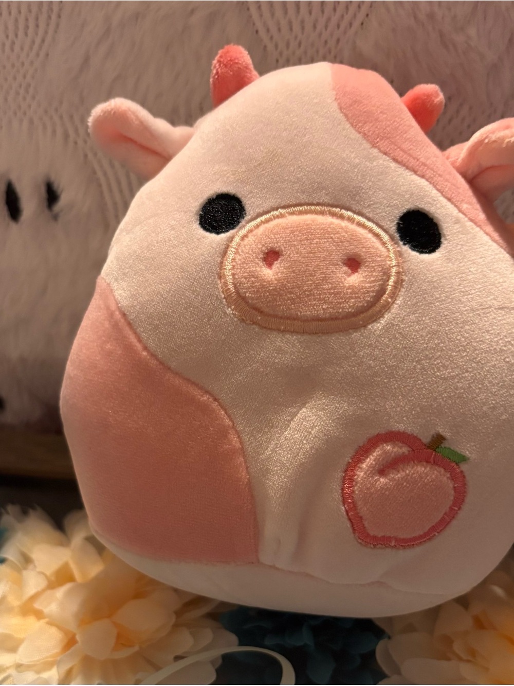 Alana the pig squishmallow net